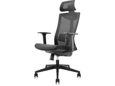 iiglo Cartan Ergonomisk kontorsstol (svart) Kontorsstolar iiglo Cartan Ergonomisk kontorsstol (svart) Kontorsstolar