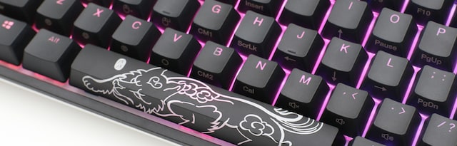 Ducky Ducky