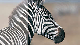 Philips 32" LED Curved 328E1CA/00