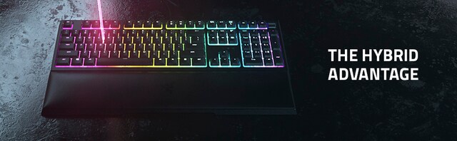 Razer Ornata v2 Razer Ornata v2