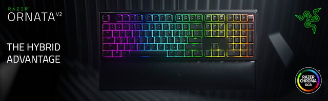 Razer Ornata v2 Razer Ornata v2