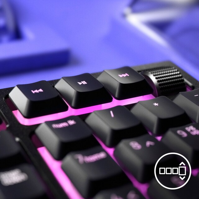 Razer Ornata v2 Razer Ornata v2