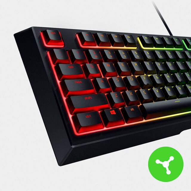 Razer Ornata v2 Razer Ornata v2