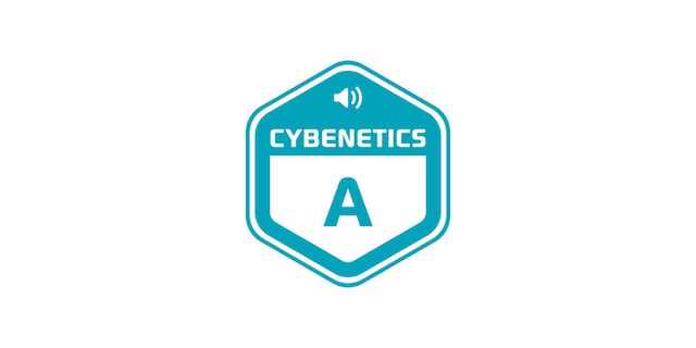 Cybernetics A rank